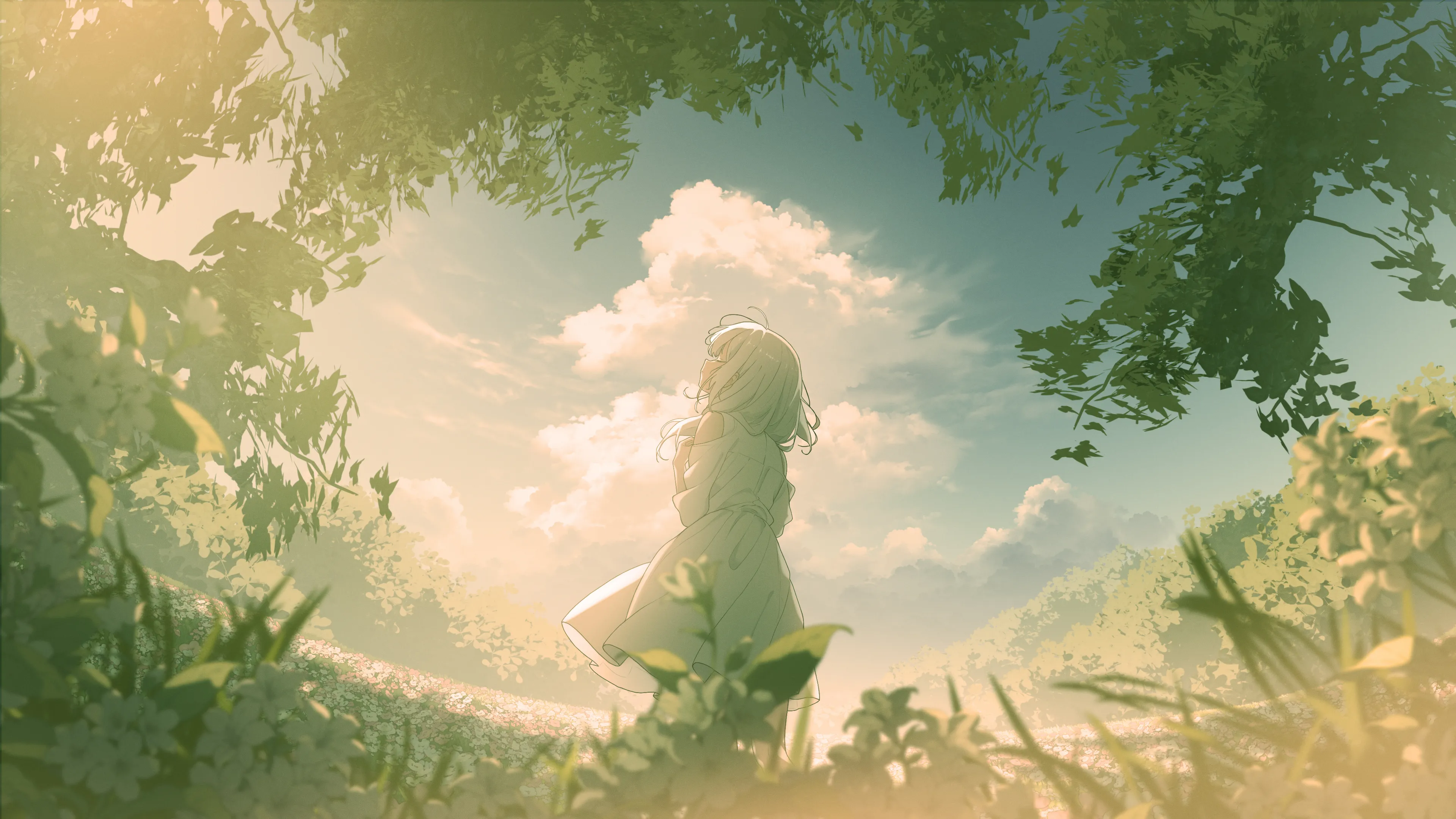 background picture of the home page